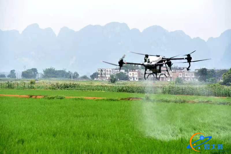 大新：无人机喷洒农药 为丰收保驾护航-1.jpg